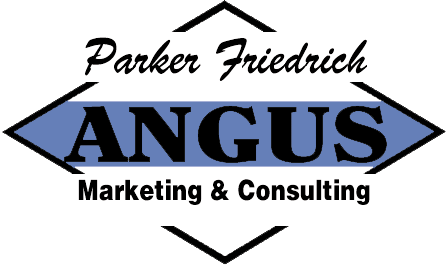 Parker Friedrich Marketing and Consulting